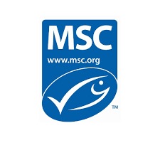 8500e5b9-fbec-4fd0-9778-55fdc8d57efe