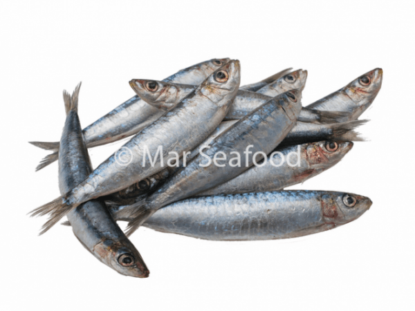 SARDINES