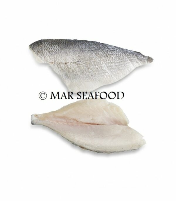 DORADE FILET